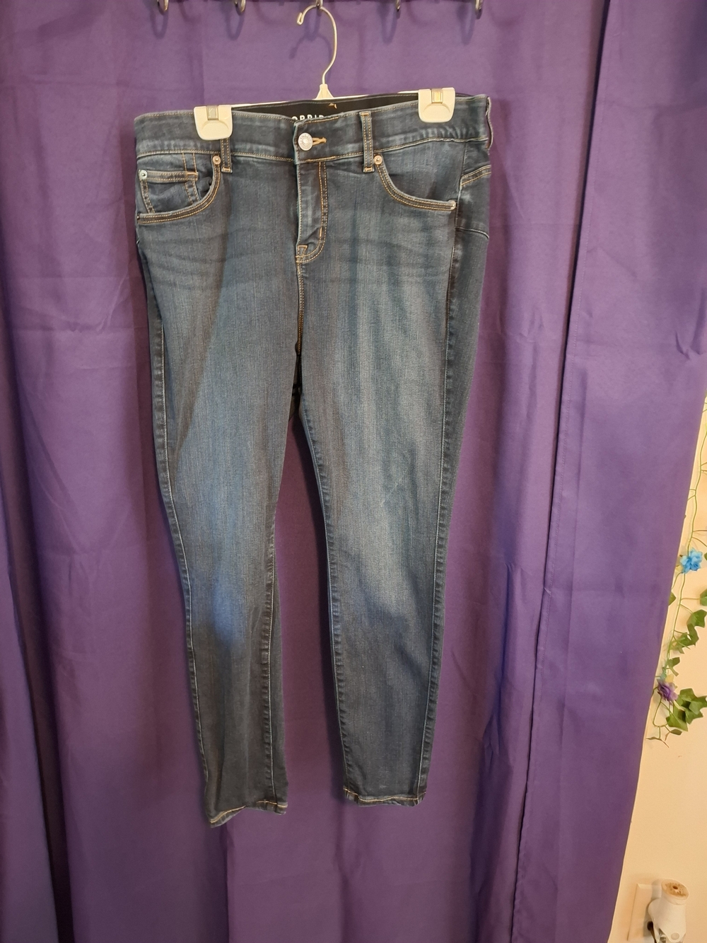 torrid Women's Medium Blue Skinny Jeans